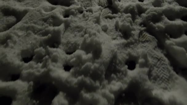 Fotspår Snö Natten Högkvalitativ Film — Stockvideo