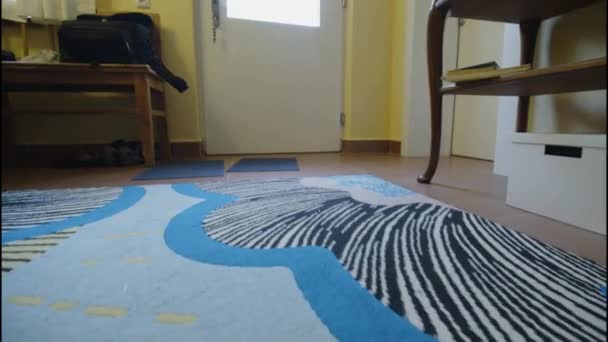 住宅の入り口の色のカーペットとドア 高品質4K映像 — ストック動画