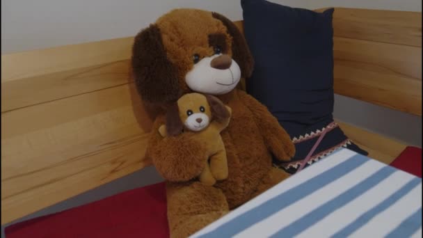 Huisdier Hond Met Kleine Hond Aan Eettafel Hoge Kwaliteit Beeldmateriaal — Stockvideo