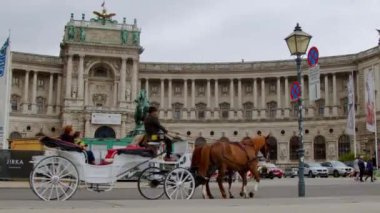 Avusturya Ulusal Kütüphanesi 'nde Viyana Heldenplatz' da fiaker vagonu. Yüksek kalite 4k görüntü