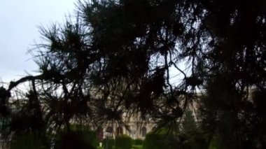 Viyana şehir merkezinde tarihi sanat müzesi var. Yüksek kalite 4k görüntü