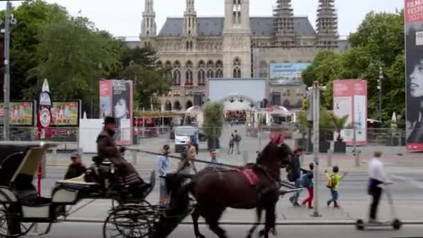 Wiener Rathaus Und Verkehr Auf Der Ringstraße Hochwertiges Filmmaterial — Stockvideo