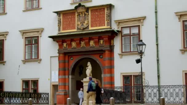 Historické Brány Hofburgu Vídni Vysoce Kvalitní Záběry — Stock video