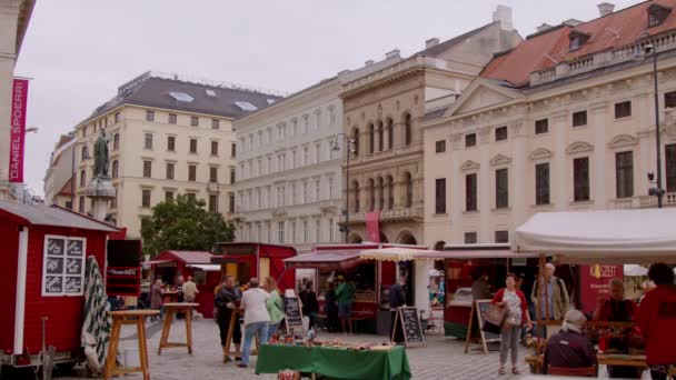 Wiener Stadtbild Freyung Bezirk Hochwertiges Filmmaterial — Stockvideo