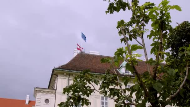 Bandeiras Austríacas Europeias Acenando Residência Presidencial Palácio Viena Hofburg Imagens — Vídeo de Stock