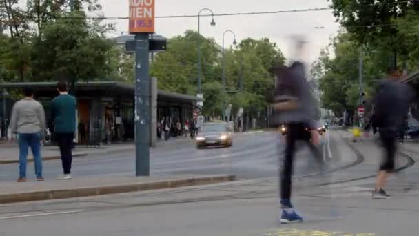 Zeitraffer Der Wiener Ringstraße Mit Verkehr Hochwertiges Filmmaterial — Stockvideo