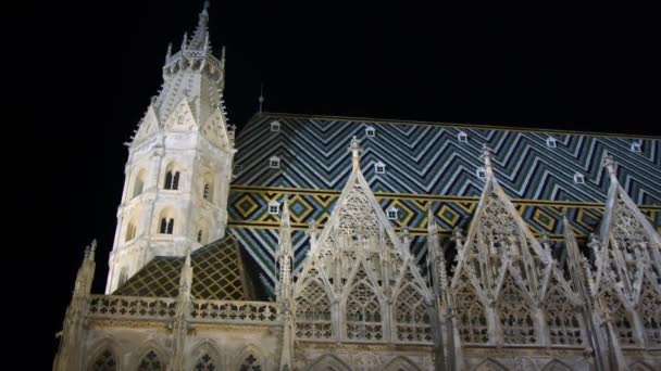 Torre Catedral San Esteban Con Escalera Iluminada Por Noche Imágenes — Vídeos de Stock