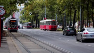 Viyana Ringstrasse 'de yoğun tramvay trafiği. Yüksek kalite 4k görüntü