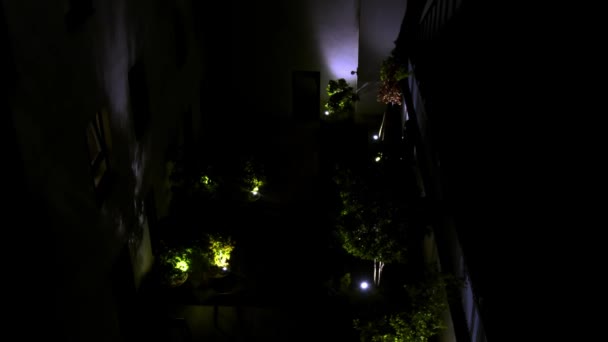 Arbustos Iluminados Patio Por Noche Imágenes Alta Calidad — Vídeos de Stock