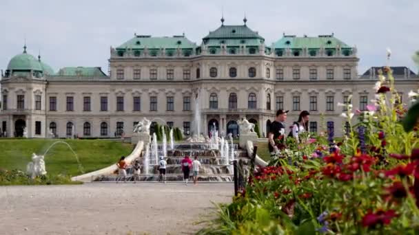 Παλάτι Belvedere Στη Βιέννη Λουλούδια Υψηλής Ποιότητας Πλάνα — Αρχείο Βίντεο