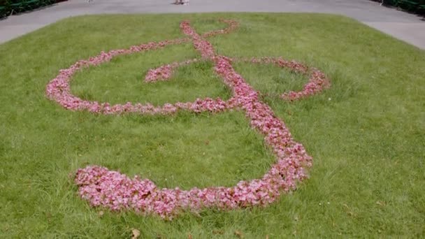 Wolfgang Amadeus Mozart Viyana Daki Çiçek Heykelinden Yapılmıştır Yüksek Kalite — Stok video