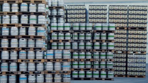 Bira Fıçısı Deposu Bira Fabrikasında Yüksek Kalite Görüntü — Stok video