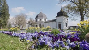 İlkbaharda birinci sınıf güller Kremsmuenster manastırında tarihi bir Feigenhaus. Yüksek kalite 4k görüntü