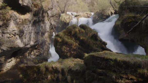 Timelapse Mossy Rocks Water Cascades Images Haute Qualité — Video