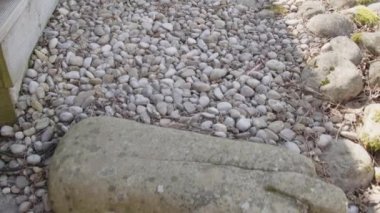 Ev bahçesinde taş merdivenler ve çakıllar. Yüksek kalite 4k görüntü