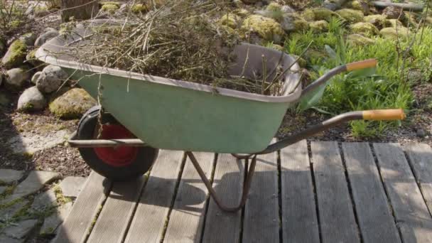 带有玫瑰灌木的手推车在木制花园平台上修剪 高质量的4K镜头 — 图库视频影像