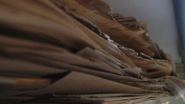 Fából Készült Furnérok Ácsműhelyben Kiváló Minőségű Felvételek — Stock videók