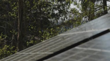 Ormanın yanındaki güneş panelleri. Yüksek kalite 4k görüntü