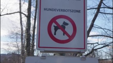 Parkta köpek imzası yok. Yüksek kalite 4k görüntü