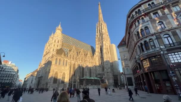 Centro Viena Con Stephansdom Invierno Mediodía Imágenes Alta Calidad — Vídeos de Stock