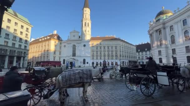 Vienna Michaelerplatz Med Fiaker Vagn Högkvalitativ Film — Stockvideo