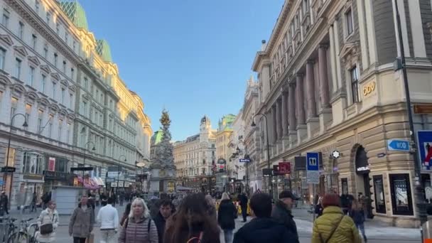 Vídeňská Rušná Scéna Slavné Ulici Graben Vysoce Kvalitní Záběry — Stock video