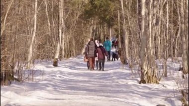 Almsee, Yukarı Avusturya yakınlarındaki güzel kış manzarasında yürüyen turistler. Yüksek kalite 4k görüntü