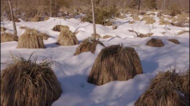 Kışın Almsee Gölü 'nün havadan çekilmiş görüntüleri. Yüksek kalite 4k görüntü