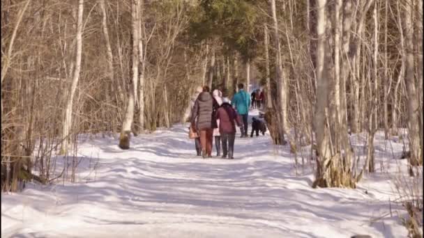 Τουρίστες Που Περπατούν Όμορφο Χειμερινό Τοπίο Κοντά Almsee Άνω Αυστρία — Αρχείο Βίντεο