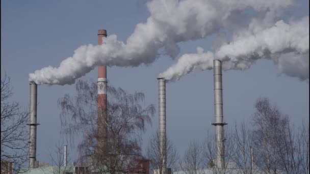 Промышленный Завод Выбросами Дымовых Труб Высококачественные Кадры — стоковое видео