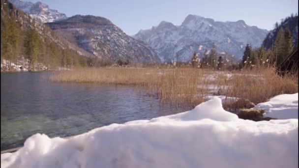 Schöne Aussicht Auf Den Zugefrorenen Almsee Winter Mit Schilfgürtel Hochwertiges — Stockvideo