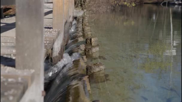Rio Weir Ager Alta Áustria Salzkammergut Imagens Alta Qualidade — Vídeo de Stock