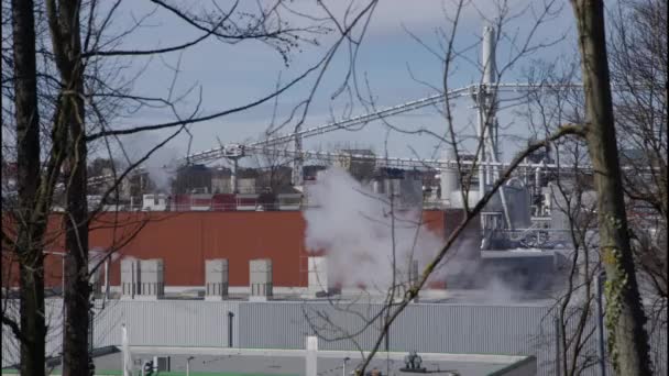 Industrieanlagen Mit Rauch Hinter Bäumen Hochwertiges Filmmaterial — Stockvideo