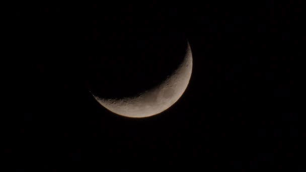 Nouvelle Lune Avec Silhouette Épine Rose Images Haute Qualité — Video