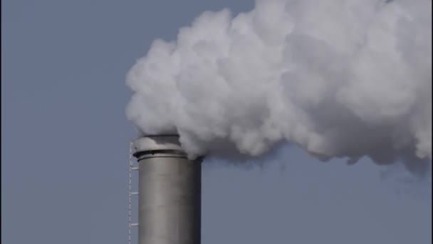 Zakład Przemysłowy Emisjami Stosu Dymu Wysokiej Jakości Materiał — Wideo stockowe