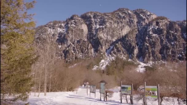 Tiro Aéreo Lago Almsee Inverno Imagens Alta Qualidade — Vídeo de Stock