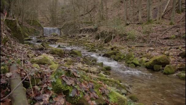 Rzeka Kontrolą Strumienia Jesienią Wysokiej Jakości Materiał — Wideo stockowe