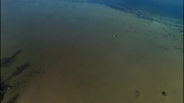 Зимою Озері Алмезе Кадри Високої Якості — стокове відео