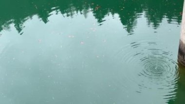 Yeşil su deposunda damlayan su. Yüksek kalite 4k görüntü