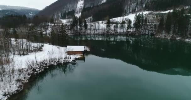 Антенна Над Гидроэнергетическим Резервуаром Верхней Австрии Зимой Высококачественные Кадры — стоковое видео