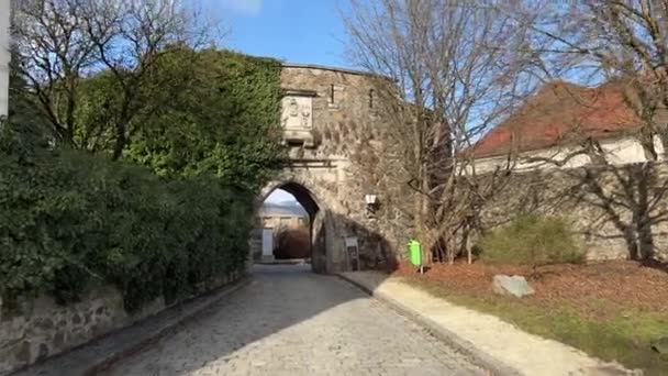林茨城堡的城堡大门 高质量的4K镜头 — 图库视频影像