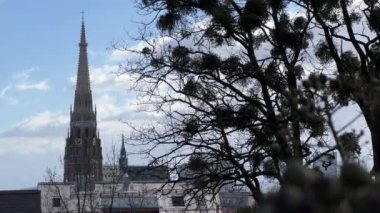 Linz Mariendom katedrali ve ökseotu ağacı. Yüksek kalite 4k görüntü