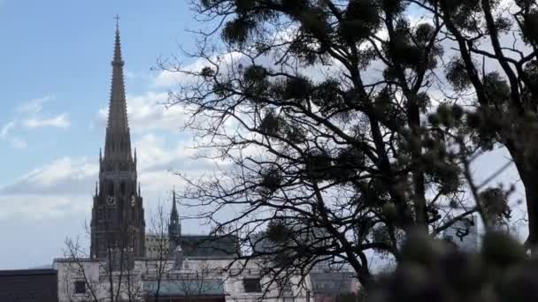 Linz Mariendom Katedralen Och Mistle Träd Högkvalitativ Film — Stockvideo