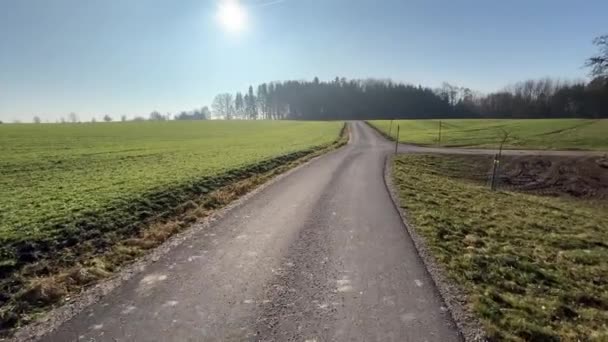 Kışın Tarla Tarlaları Olan Kırsal Bir Sokakta Yürürüm Yüksek Kalite — Stok video