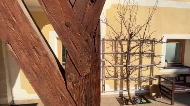 Dom Rustykalny Drzewem Fasadą Zimie Wysokiej Jakości Materiał — Wideo stockowe