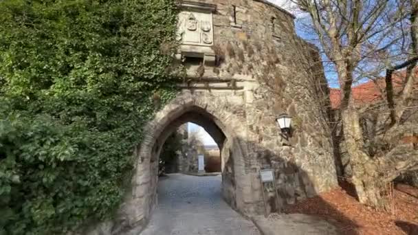 Portão Gótico Histórico Castelo Linz Imagens Alta Qualidade — Vídeo de Stock
