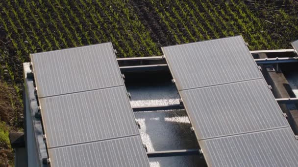 Fotovoltaikus Rendszer Mezőgazdasági Terület Mellett Kiváló Minőségű Felvételek — Stock videók