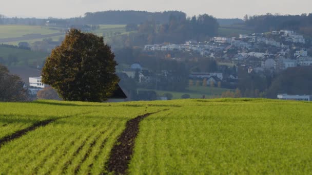 Поселение Жилыми Домами Сельской Местности Верхней Австрии Высококачественные Кадры — стоковое видео