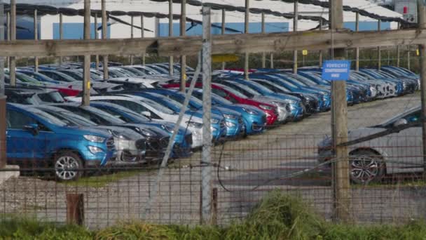 Neu Importierte Autos Parken Auf Dem Parkplatz Hochwertiges Filmmaterial — Stockvideo