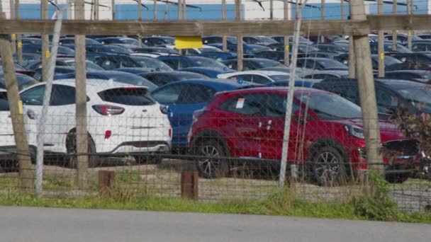 Újonnan Importált Autók Parkolnak Parkolóban Kiváló Minőségű Felvételek — Stock videók